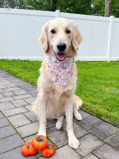 Fall Smiling Face And Ghost Bandana