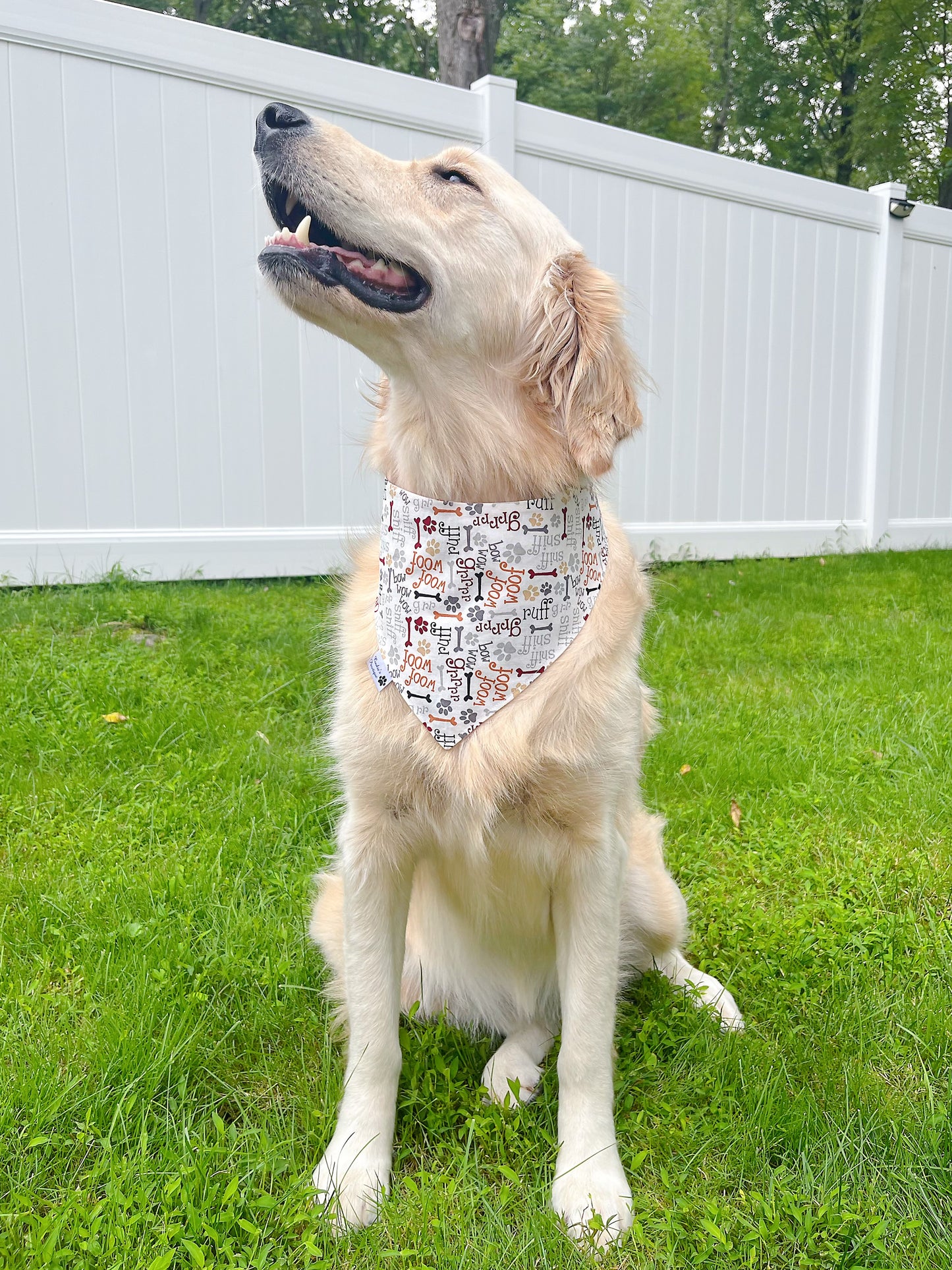 Branch Manager Bandana