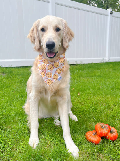 Tie Dye Smiling Face Bandana