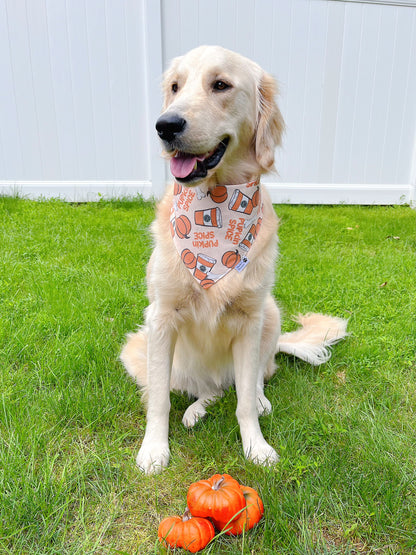 Pupkin Spice Bandana