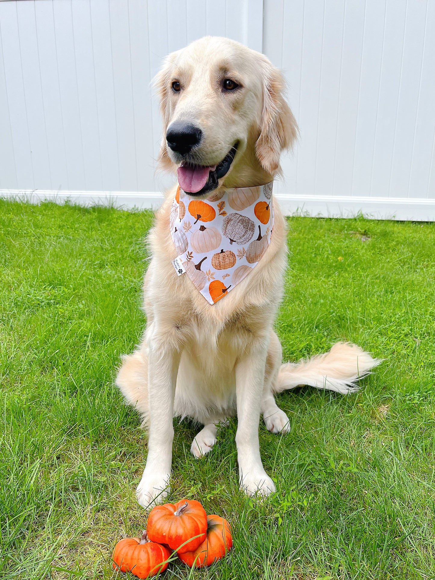 Pupkin Spice Bandana