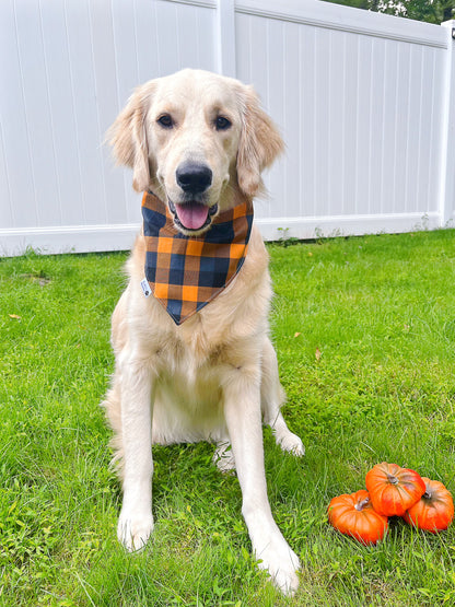 Fall Harvest Trucks Bandana