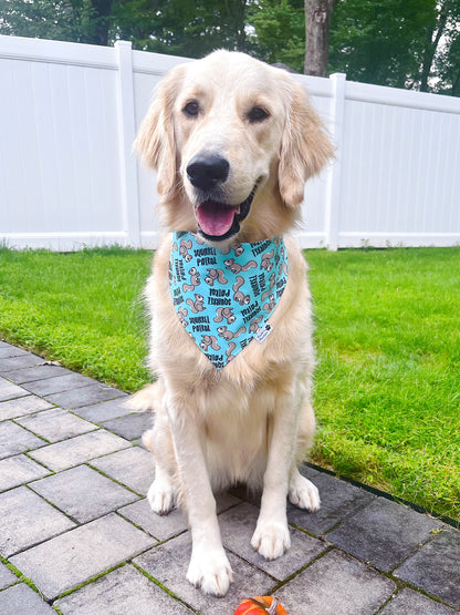 Squirrel Patrol Bandana