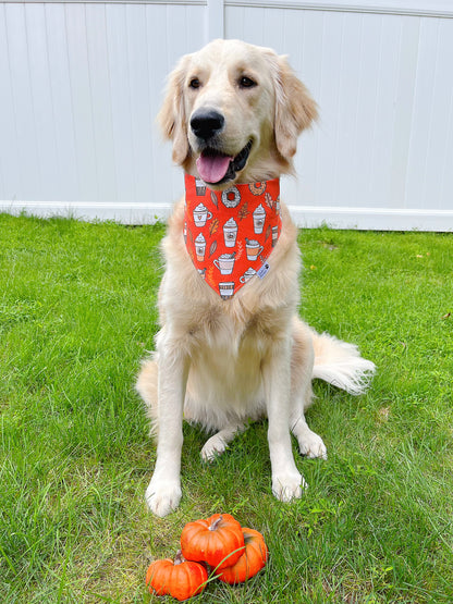 Fall Pumpkin Spice Bandana