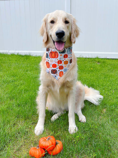 Fall Pumpkin Spice Bandana