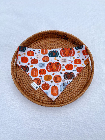 Fall Pumpkin Spice Bandana