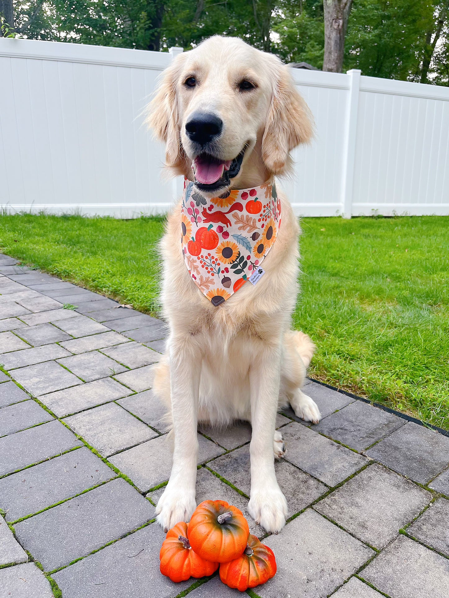 Fall Garden Bandana