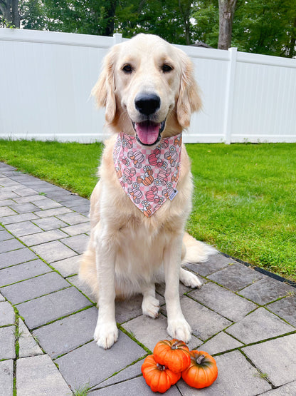 Minnie Pumpkin And Sweatshirt Bandana