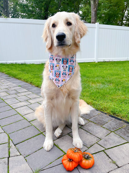 Minnie Pumpkin And Sweatshirt Bandana