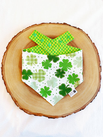 Clovers and Checks Bandana