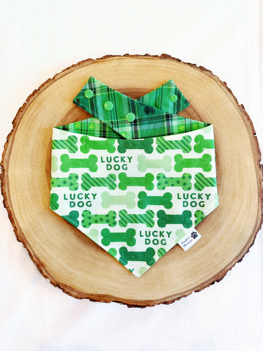 Lucky Dog and Clover Plaid Bandana