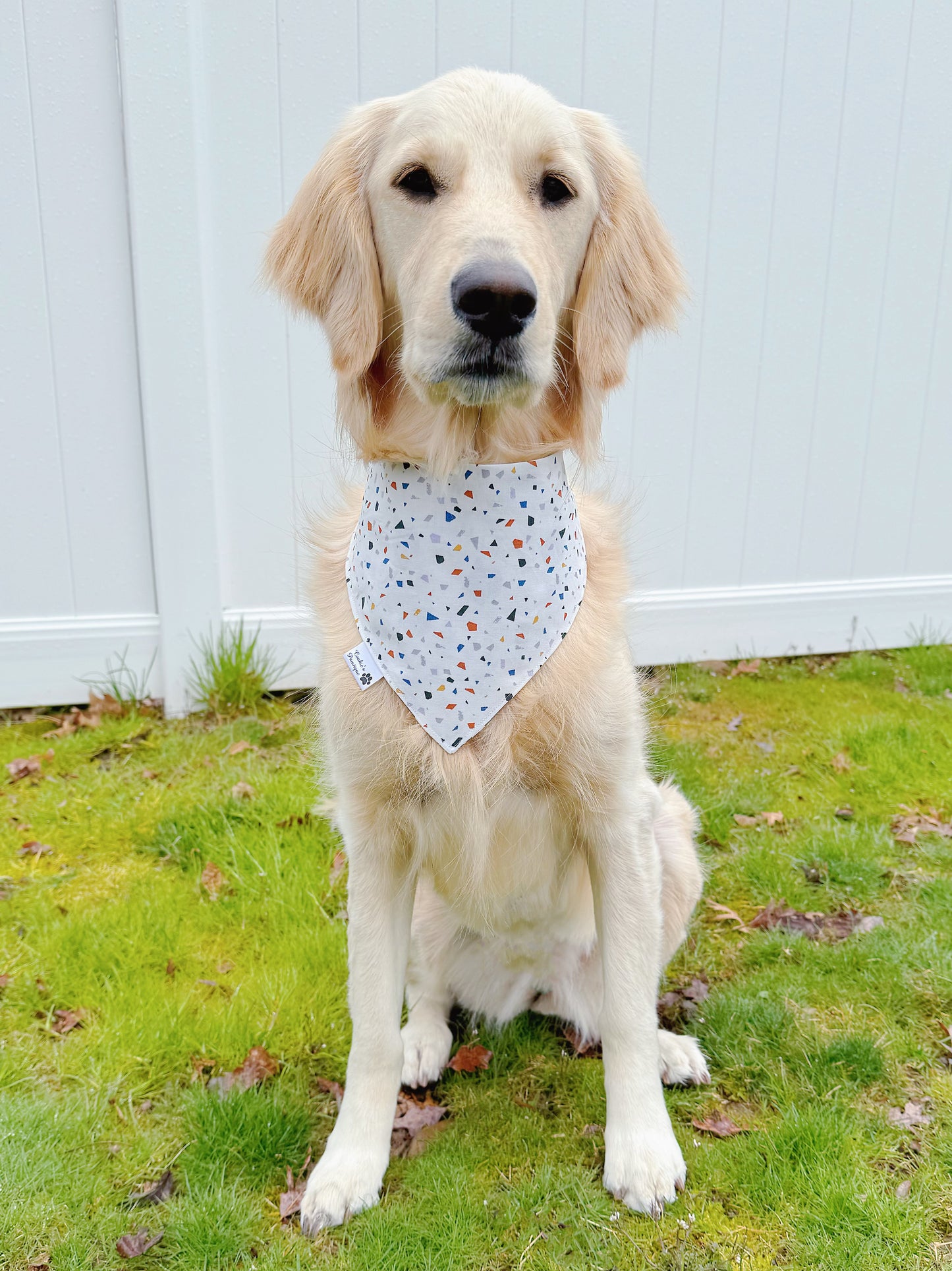 The Tassel Was Worth the Hassle Bandana