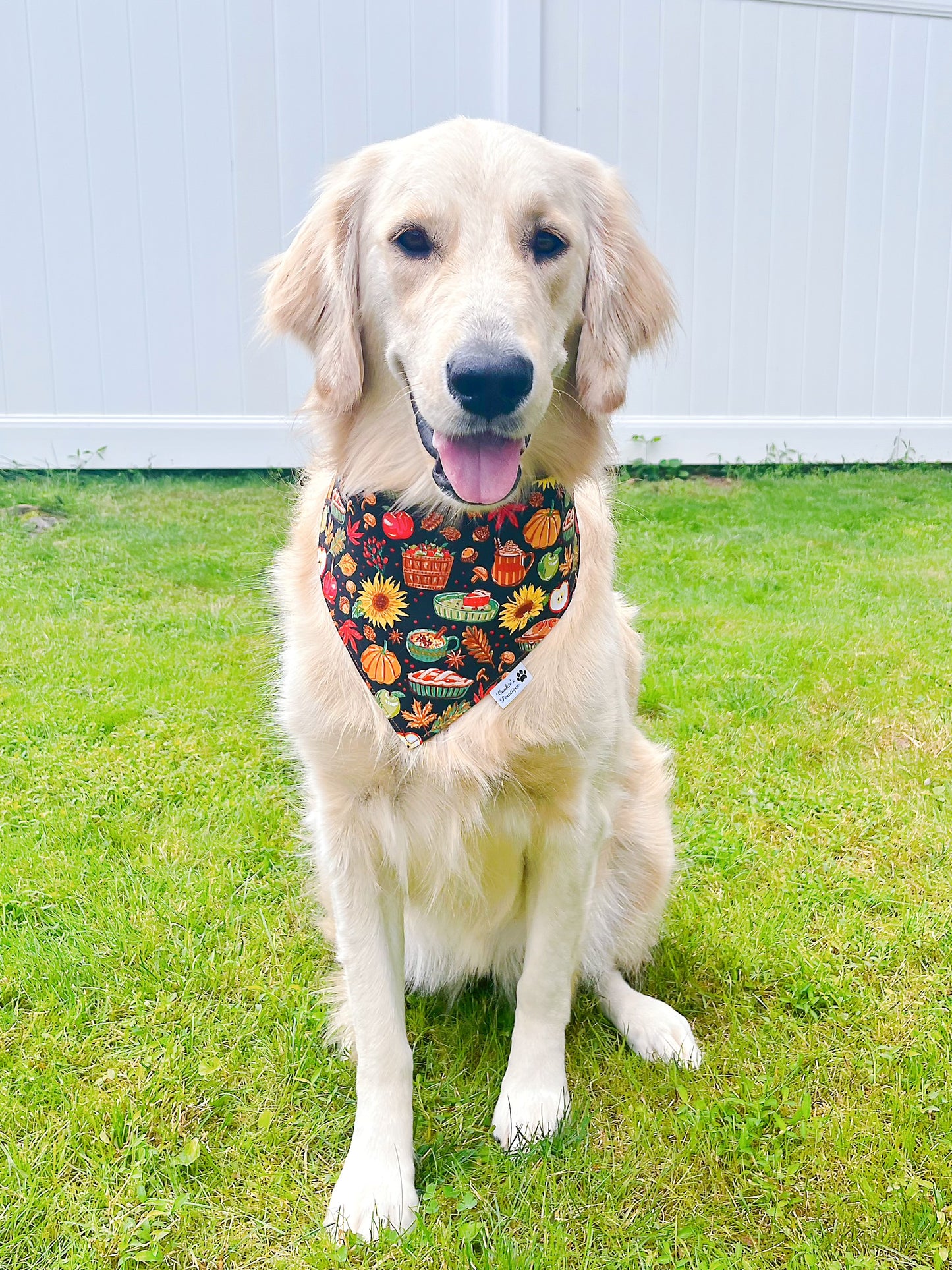 Fall Foods Bandana