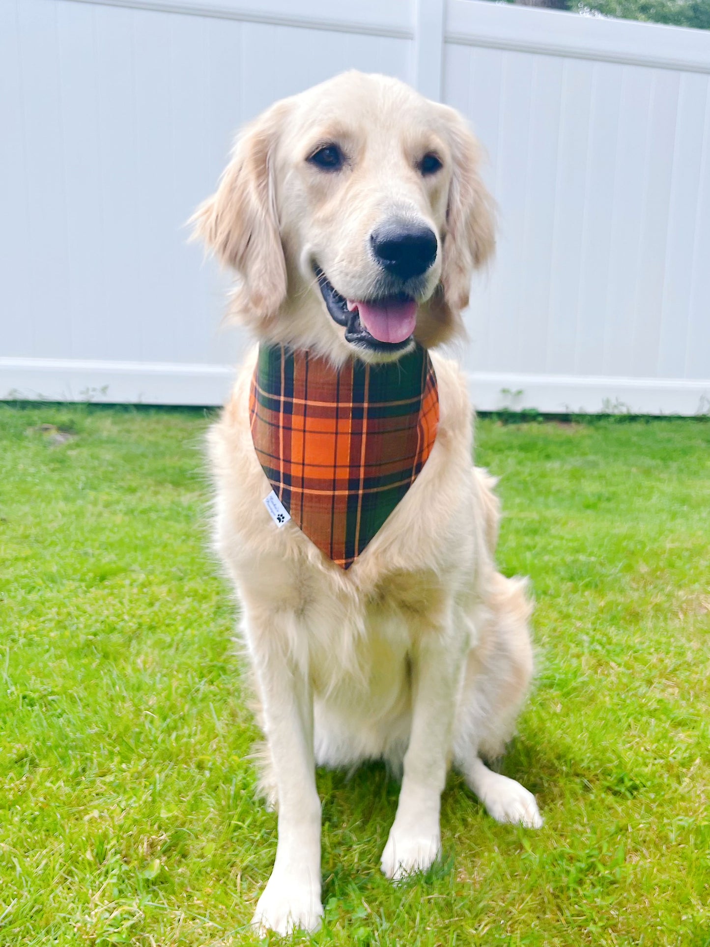 Fall Foods Bandana