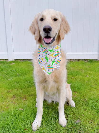 Cinco de Mayo And Pinatas Bandana