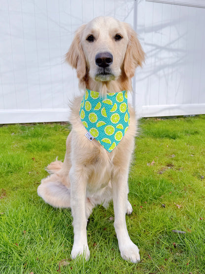 Mojito And Limes Bandana - Summer Blue