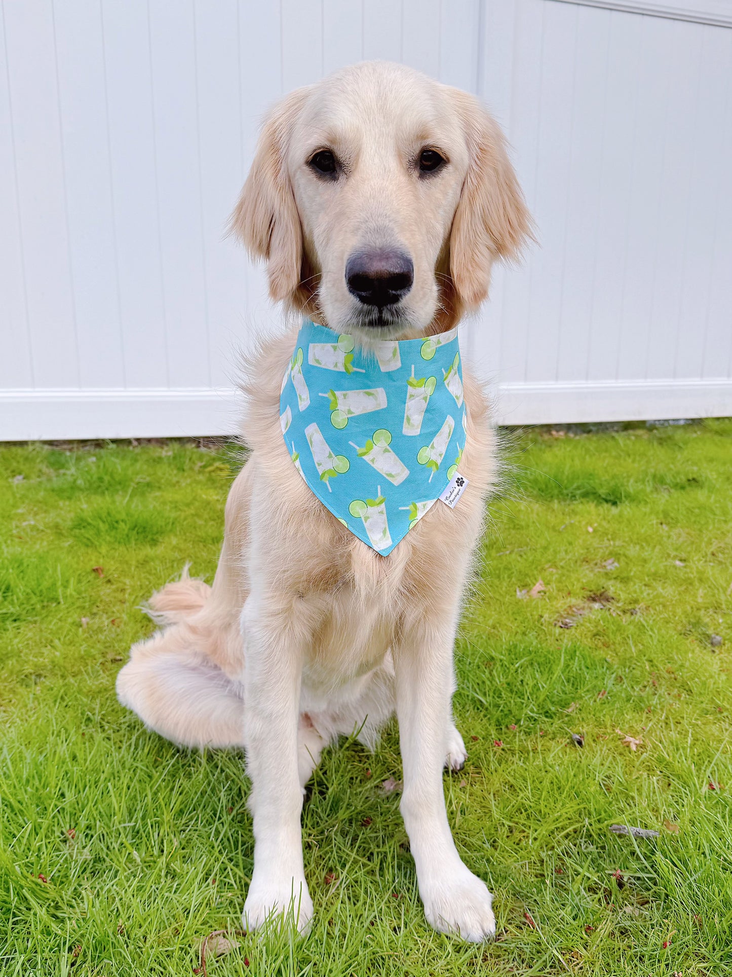 Mojito And Limes Bandana - Summer Blue