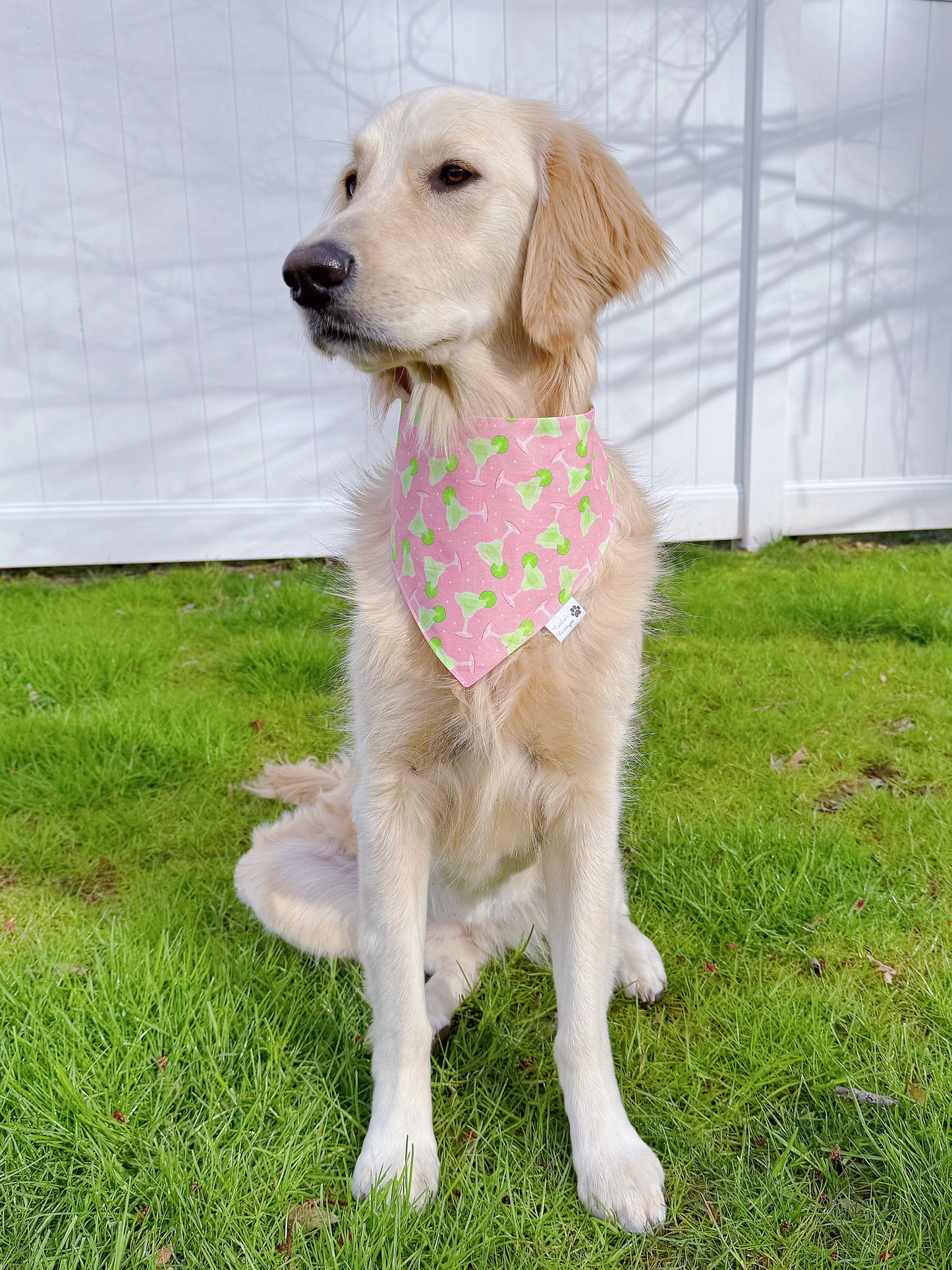 Margarita And Limes Bandana - Light Pink