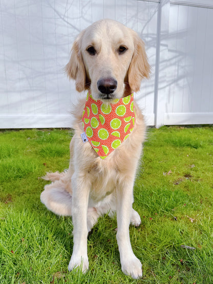 Mojito And Limes Bandana - Purple