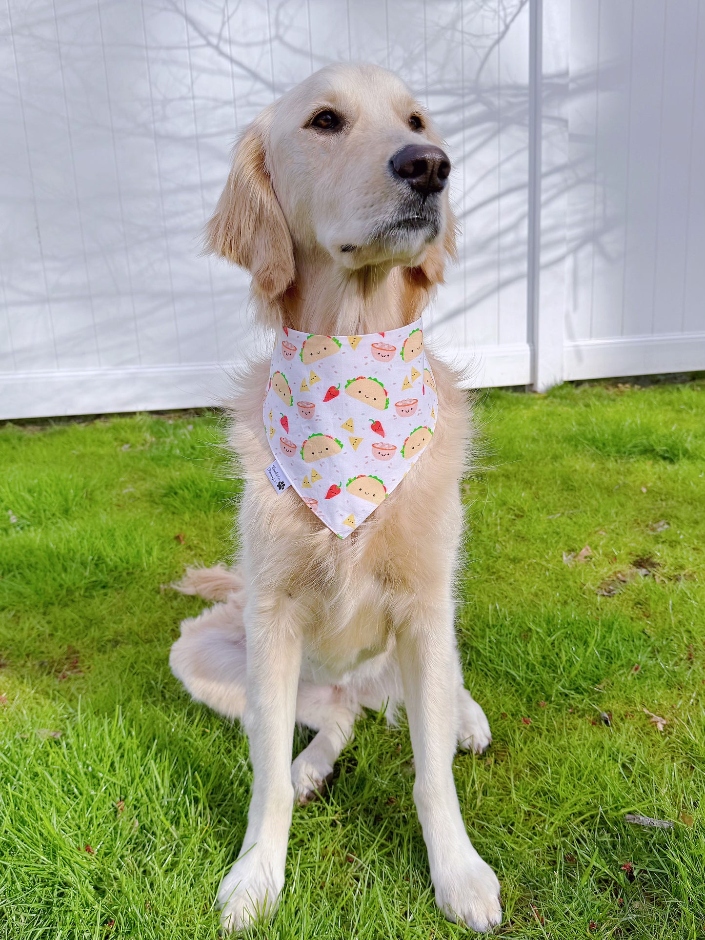 Taco and Burrito Time Bandana