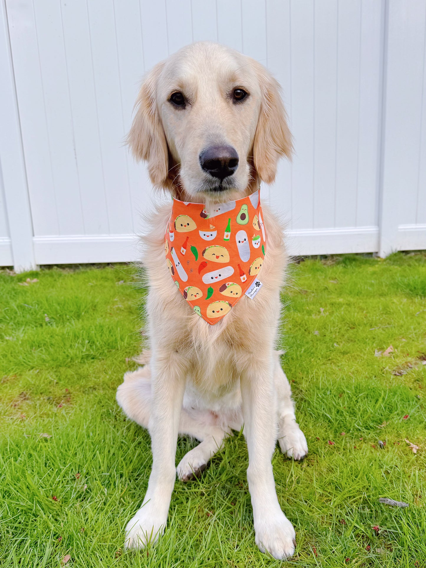 Taco and Burrito Time Bandana