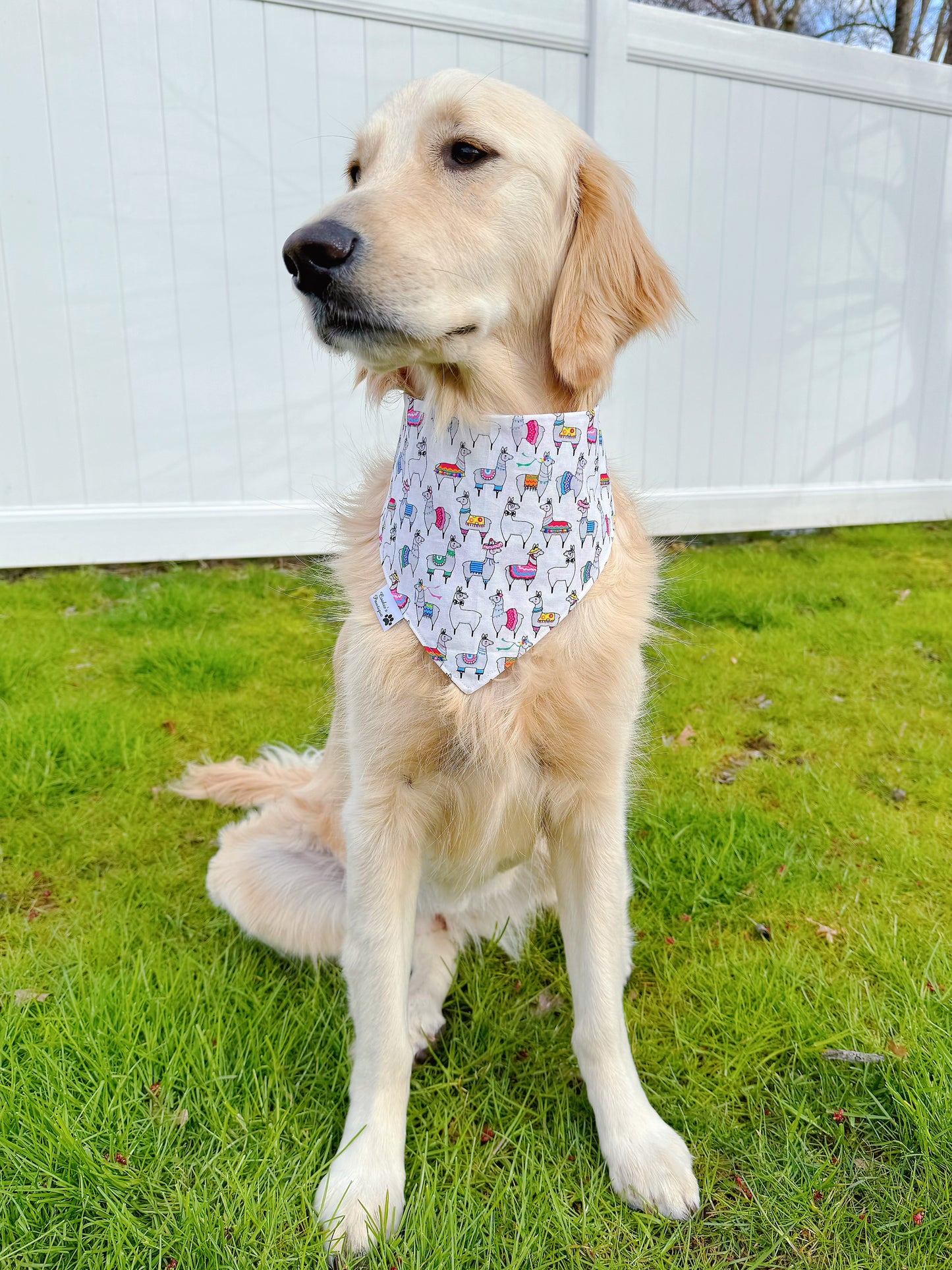 Fiesta Medallion Flowers And llama Bandana