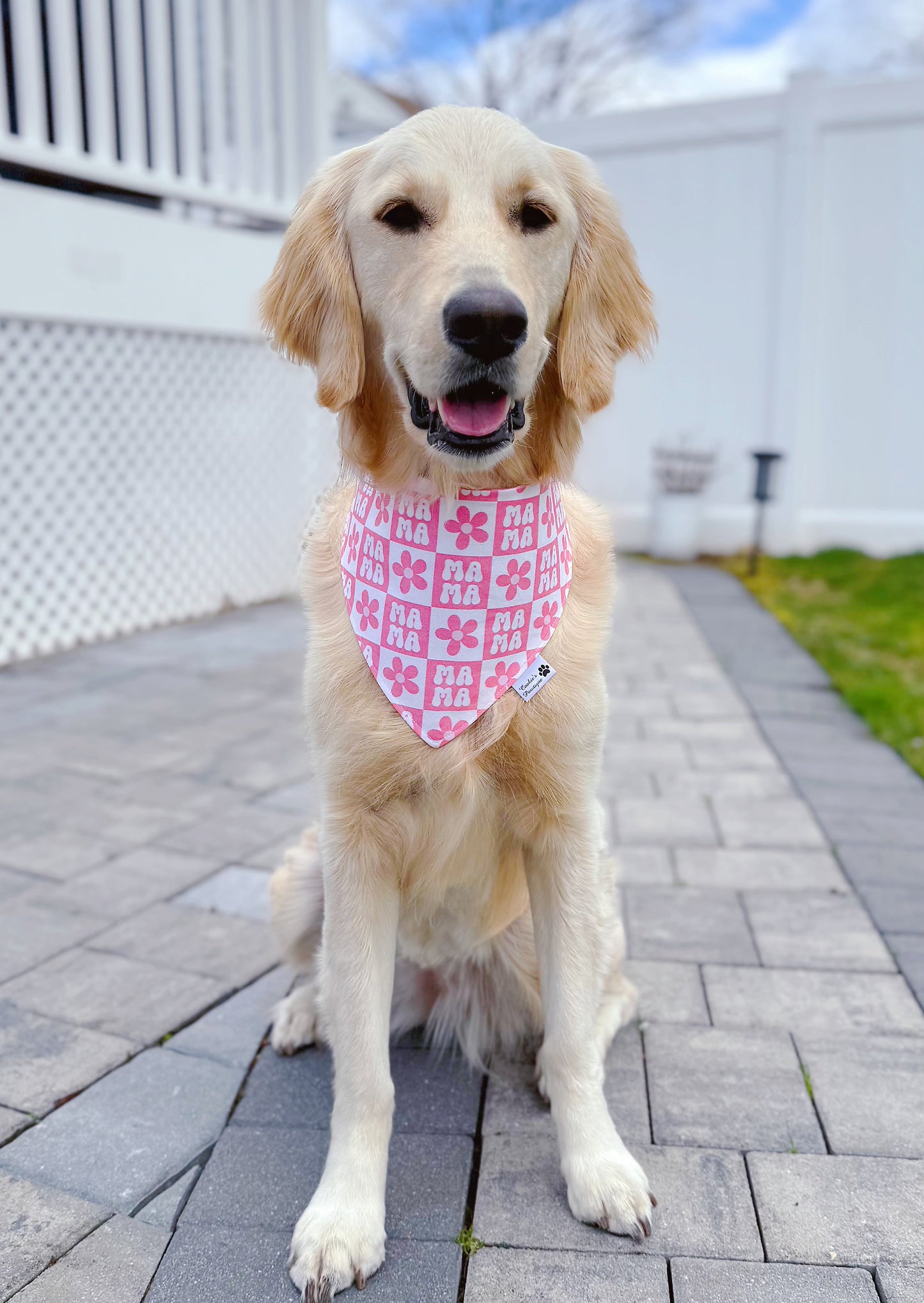 Mama Checkerboard Floral Bandana - Light Pink