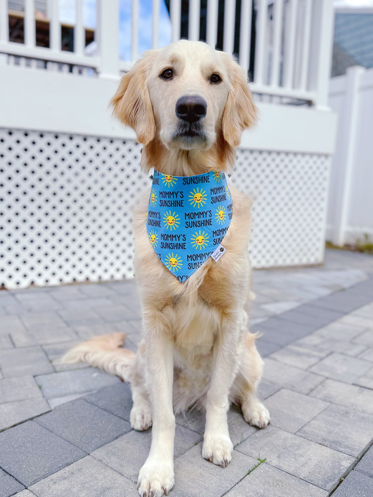 Mommy's Sunshine Bandana - Blue