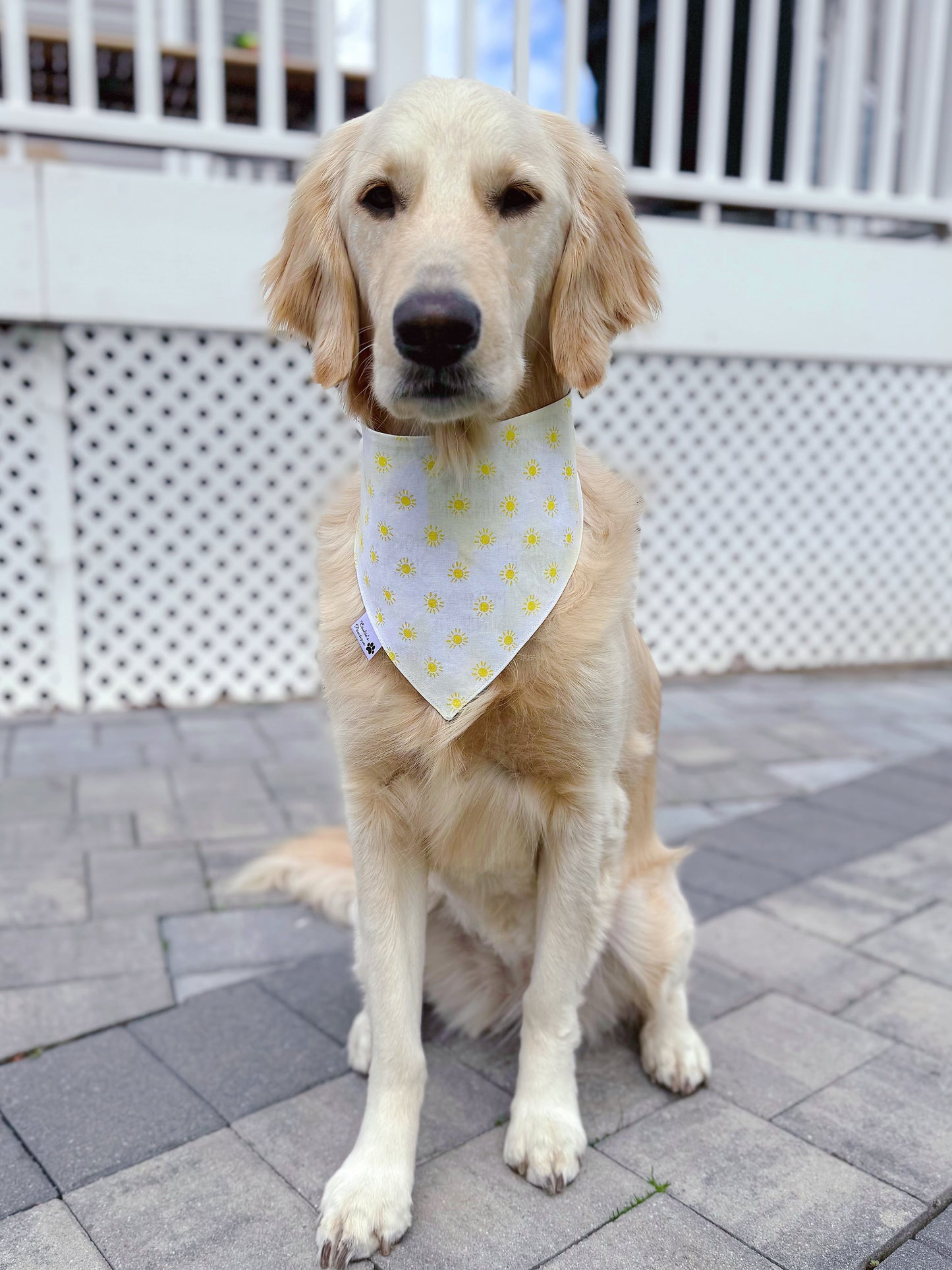 Mommy's Sunshine Bandana - Blue