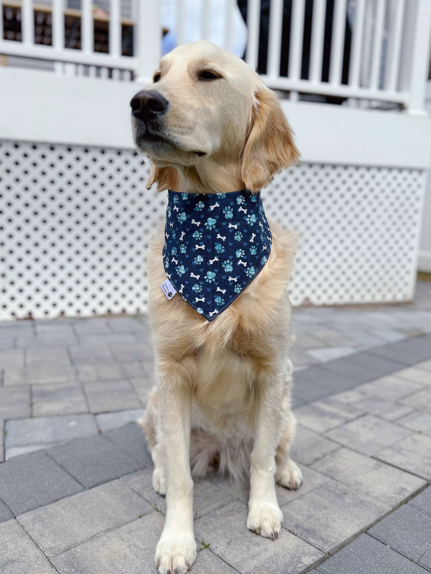 Mama’s Boy Bandana