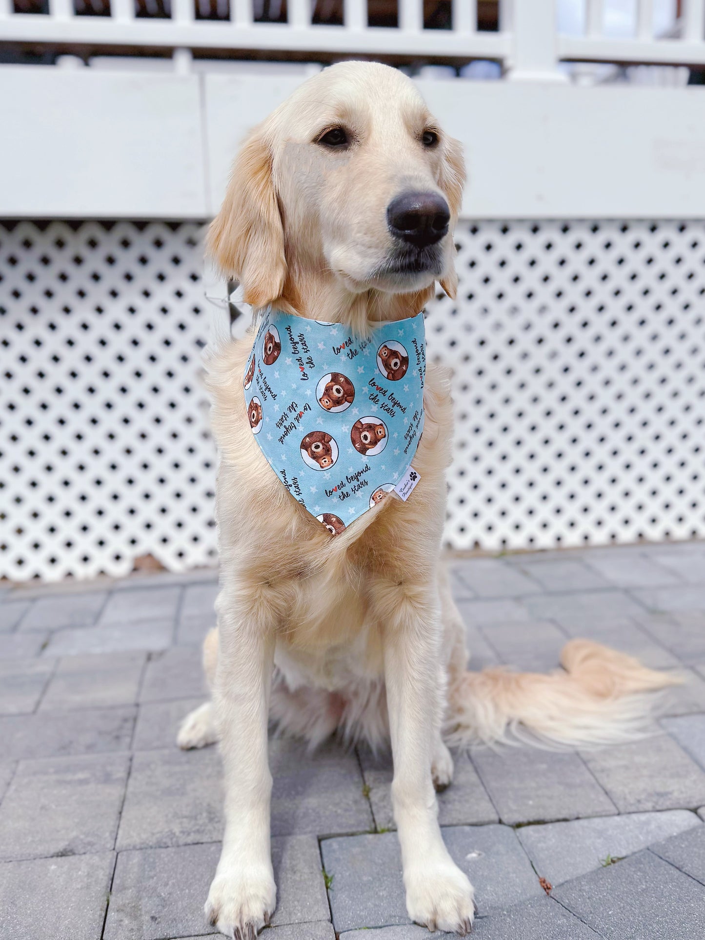 Loved Beyond The Stars Bandana