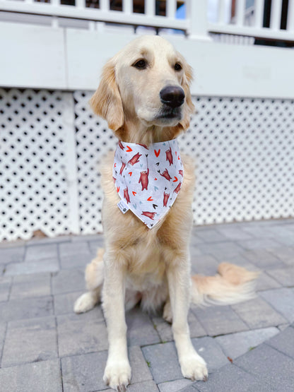 Loved Beyond The Stars Bandana