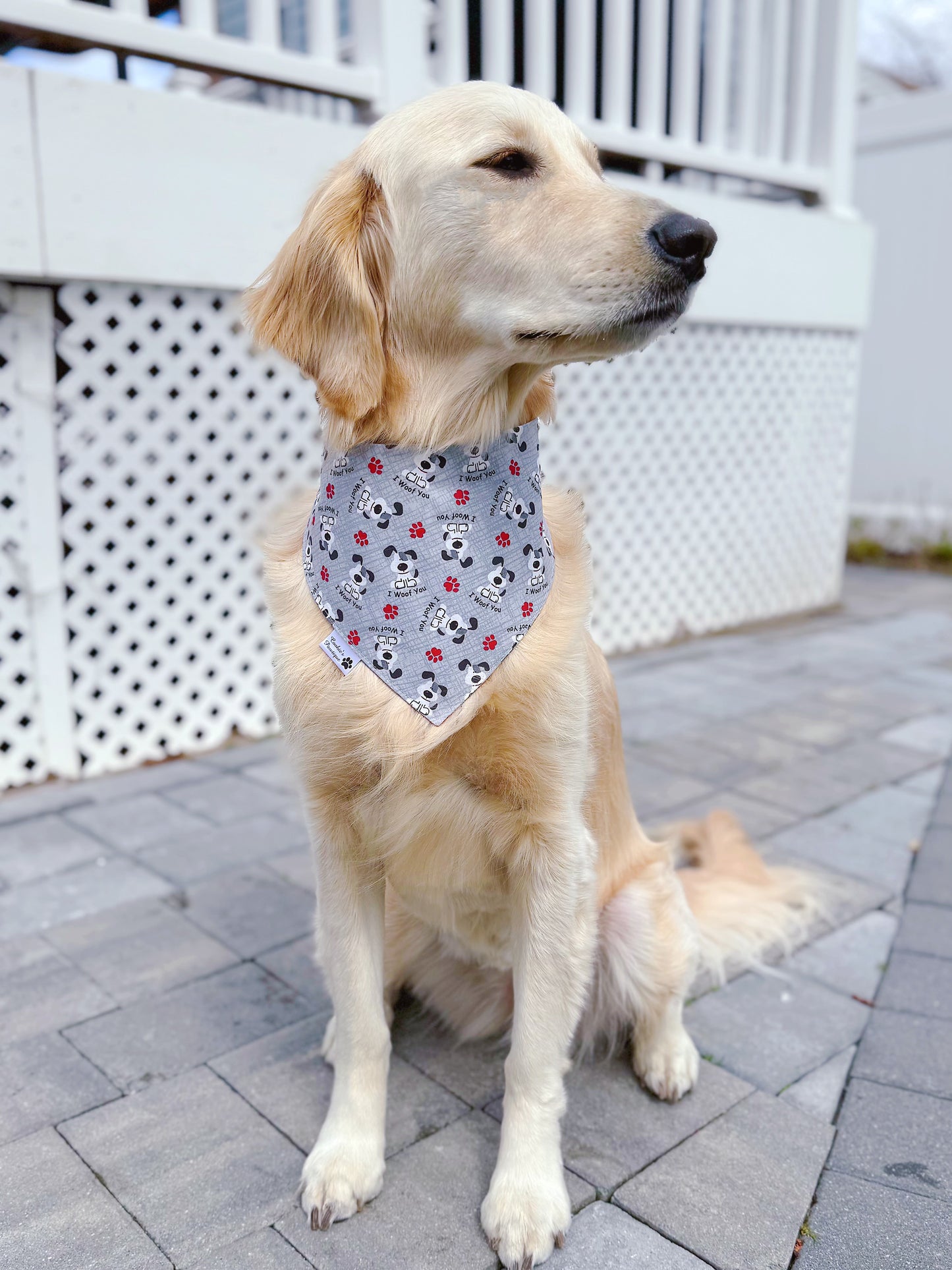 Mama's Boy And I Woof You Bandana