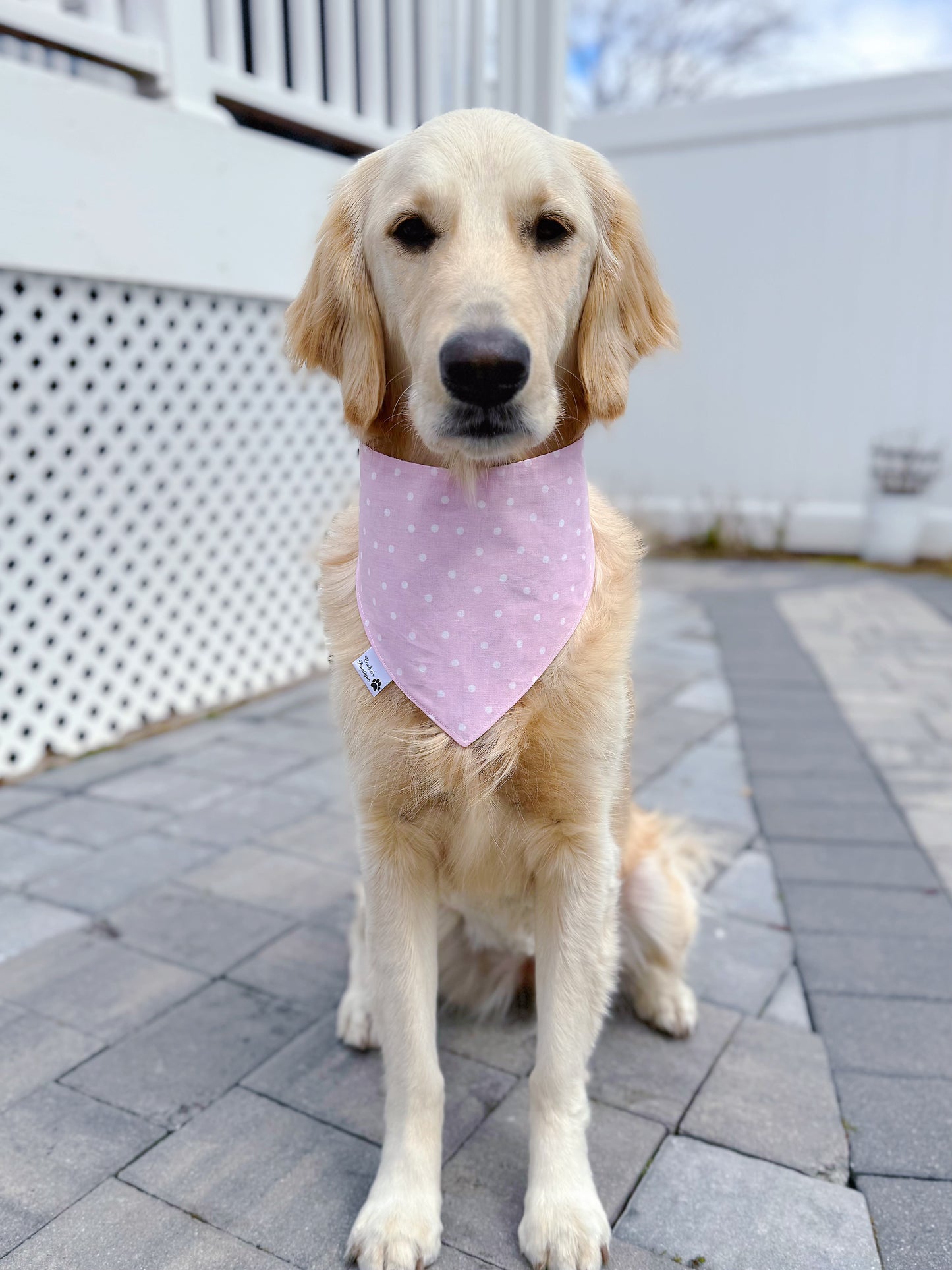 I Love My Mom A Latte Bandana - Pink