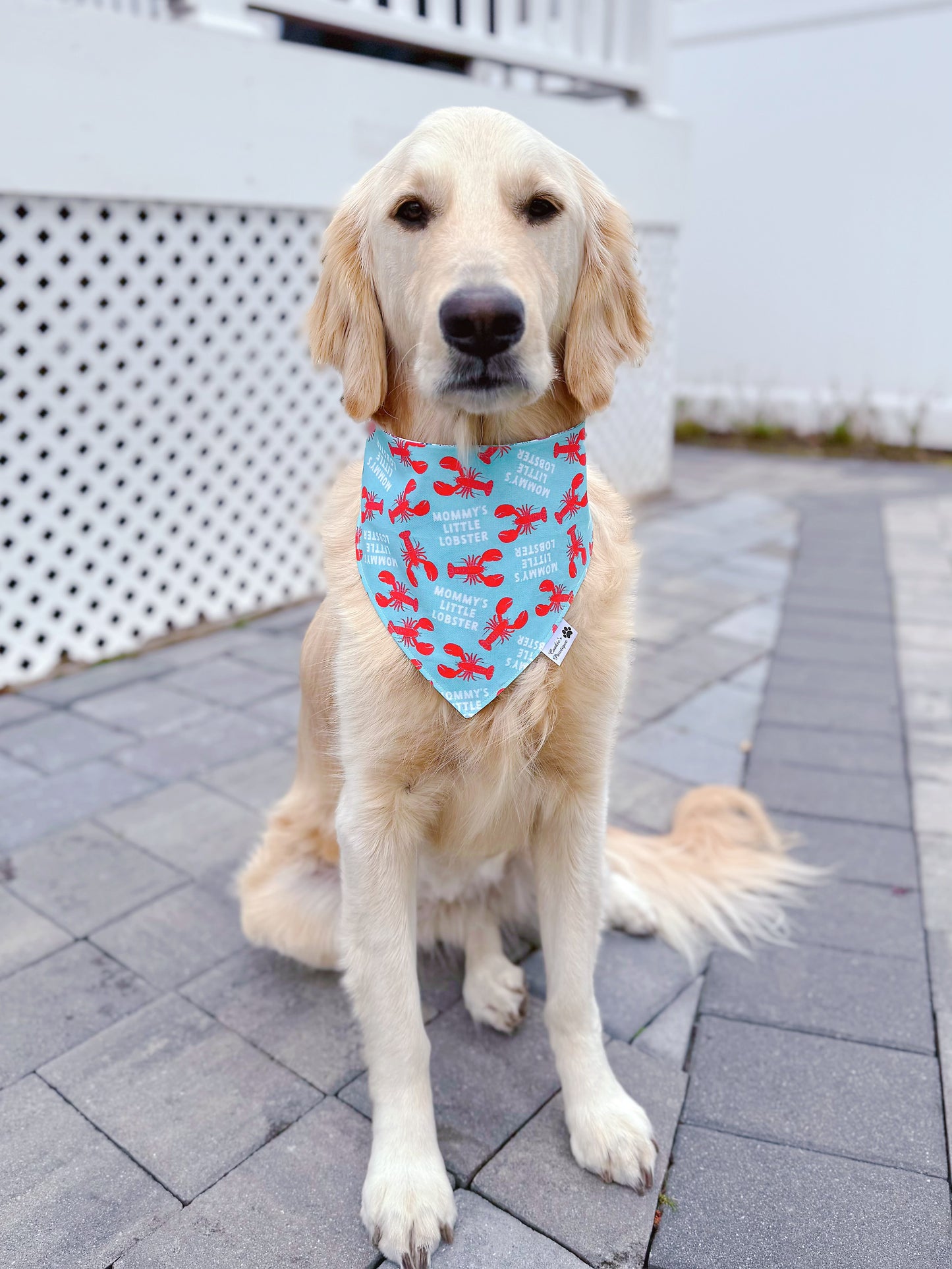 Mommy’s Little Lobster Bandana