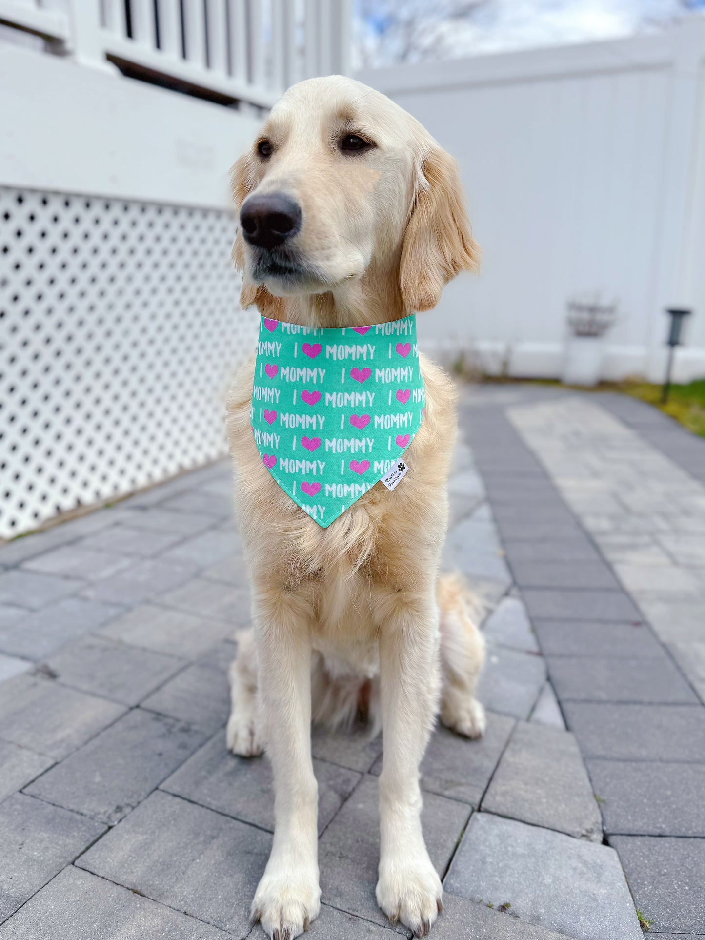 I Love Mommy Bandana - Teal