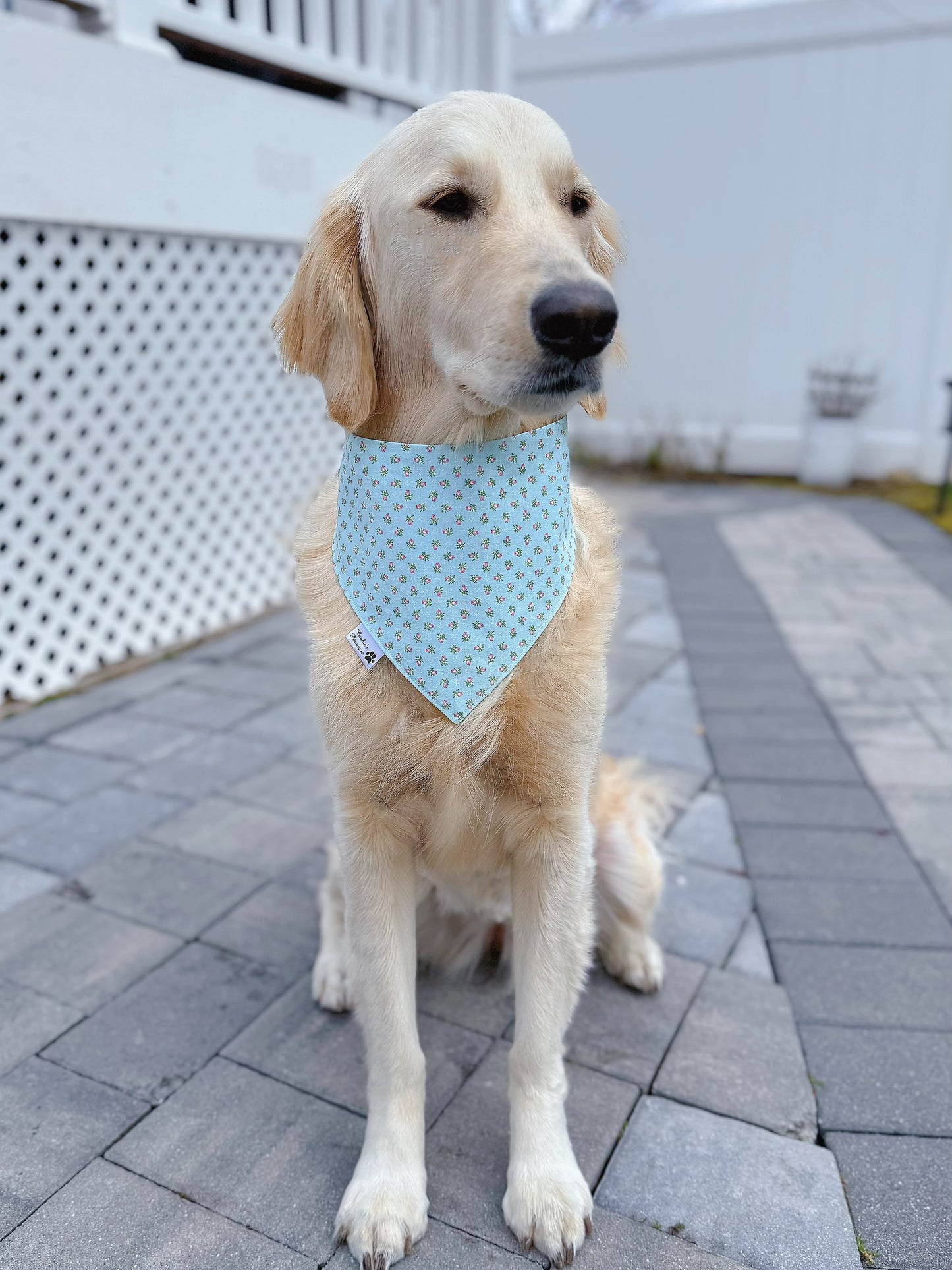 I Love Mommy Bandana - Teal