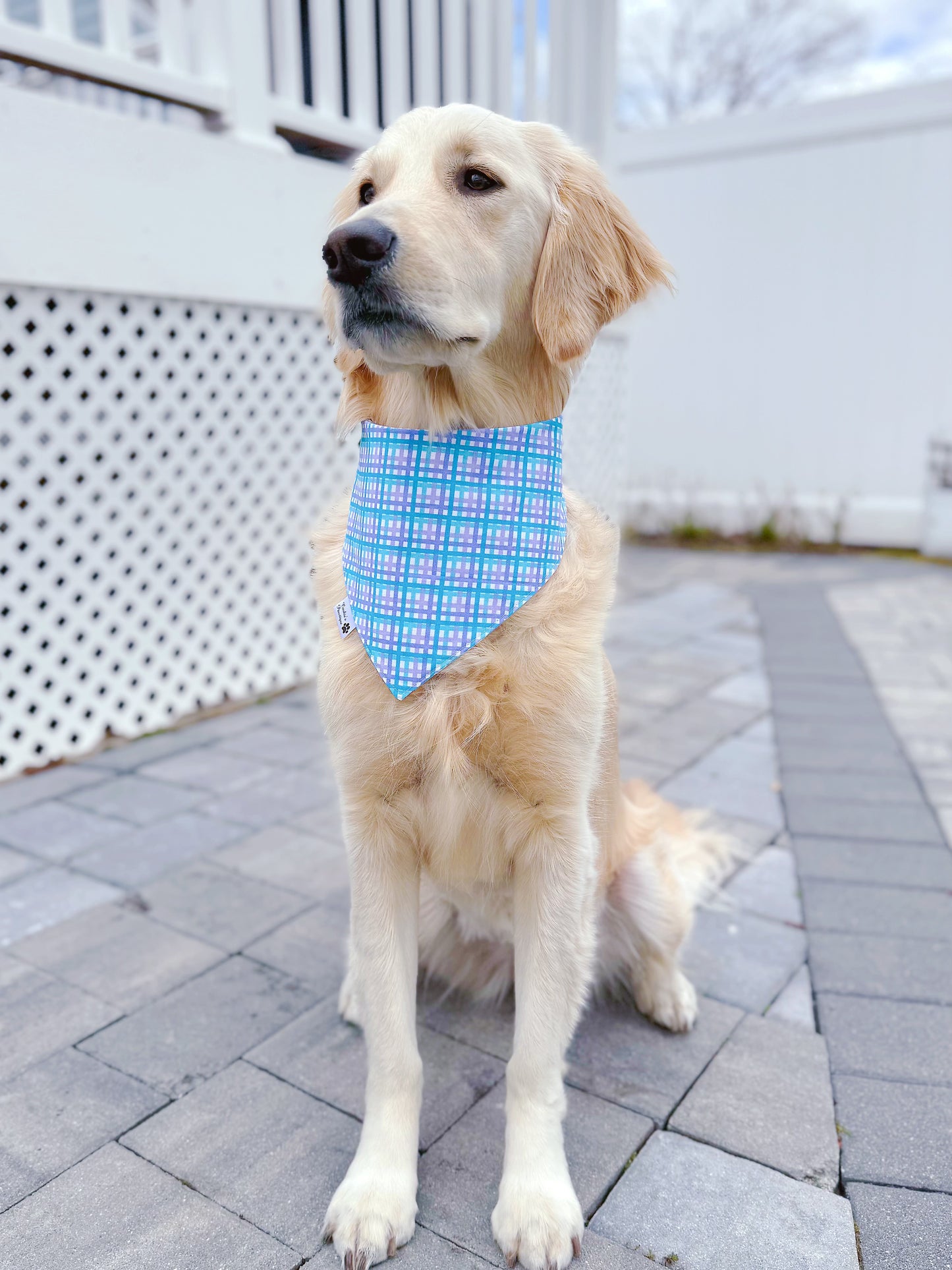 I Love Mommy Bandana - Blue