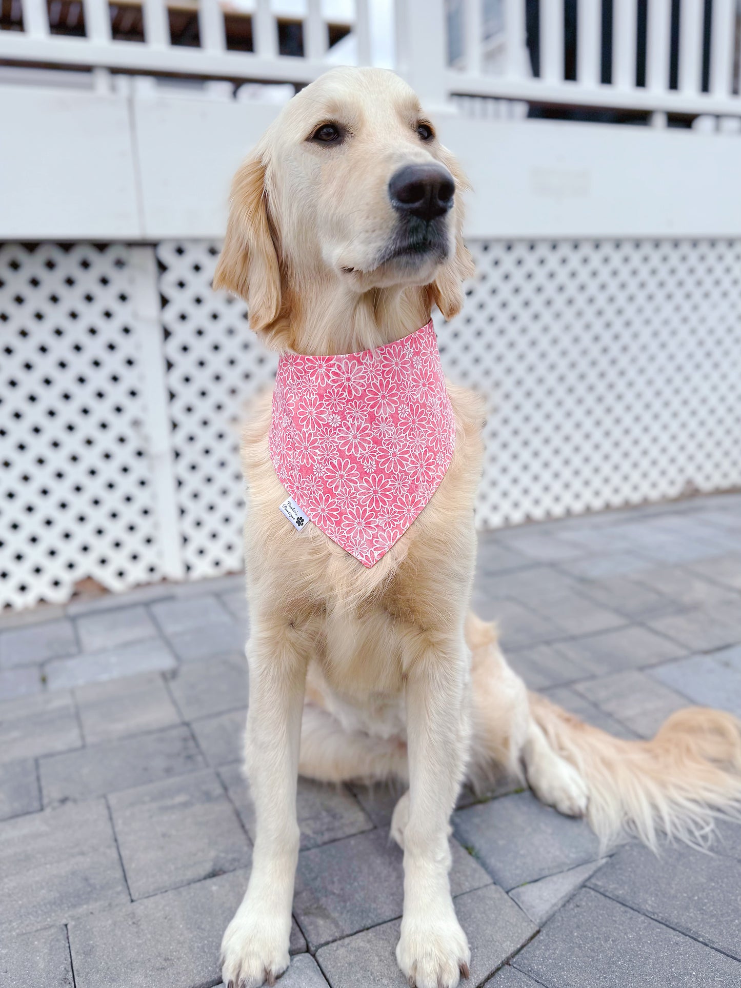 Mom's Bestie Bandana - Coral