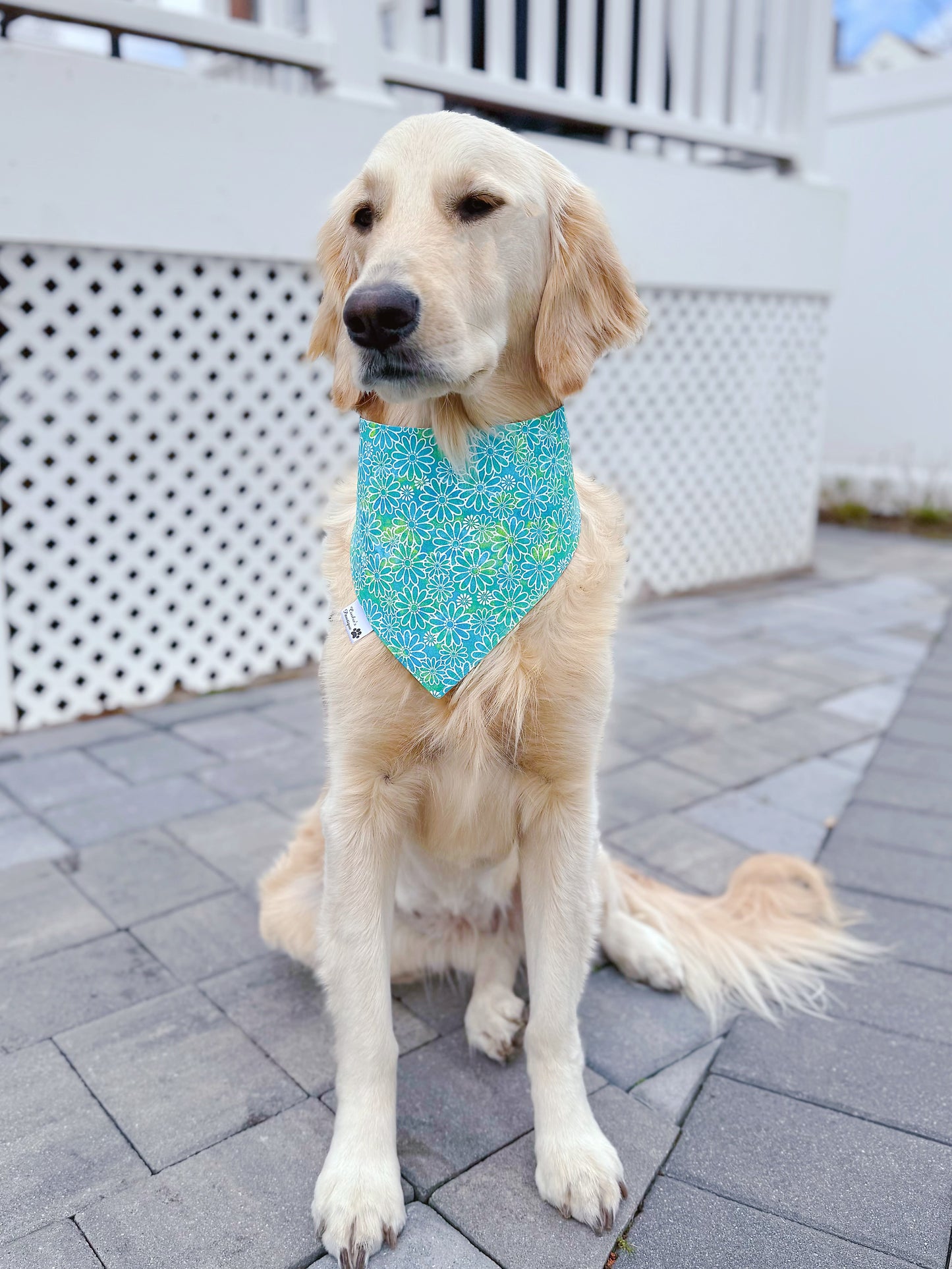 Mom's Bestie Bandana - Green