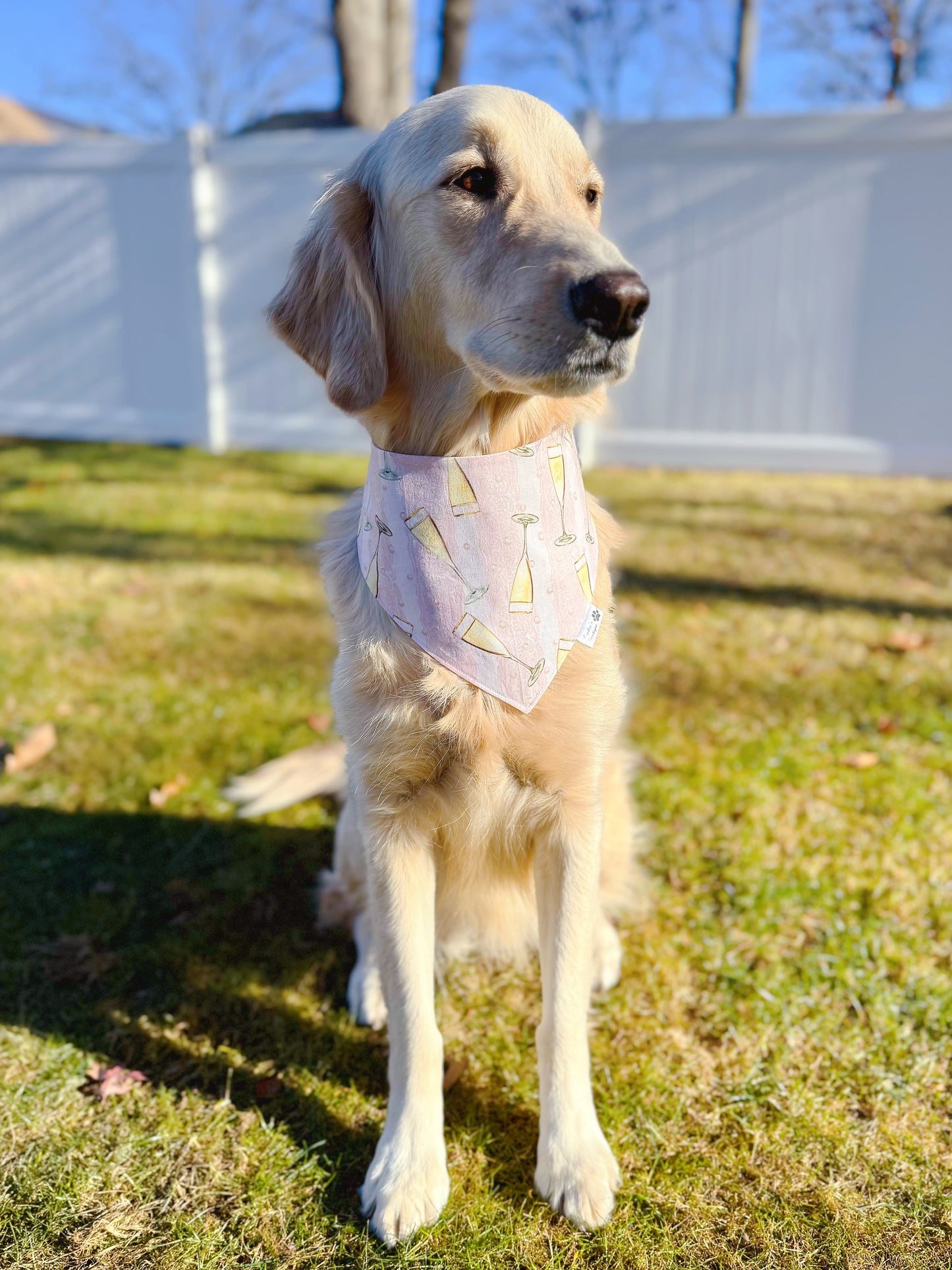 Cheers to the New Year Bandana