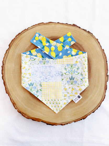 Spring Patchwork and Lemons Bandana