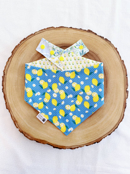 Spring Patchwork and Lemons Bandana