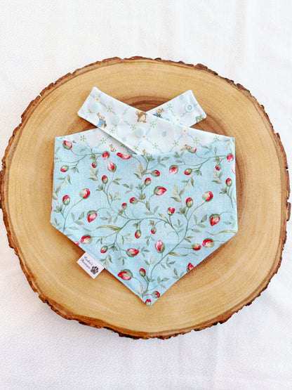 Peter Rabbit Lattice Bandana