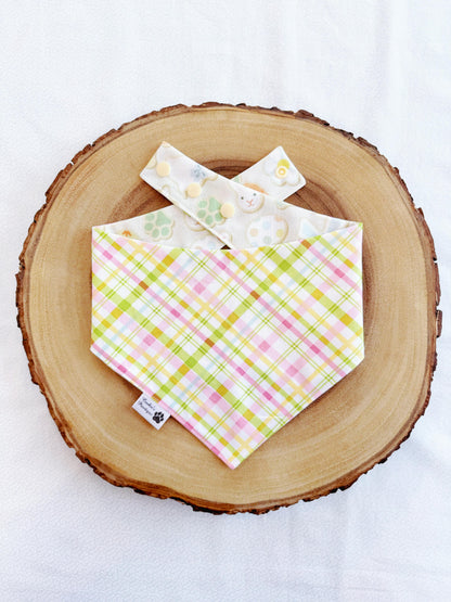Easter Cookies and Pastel Plaid Bandana