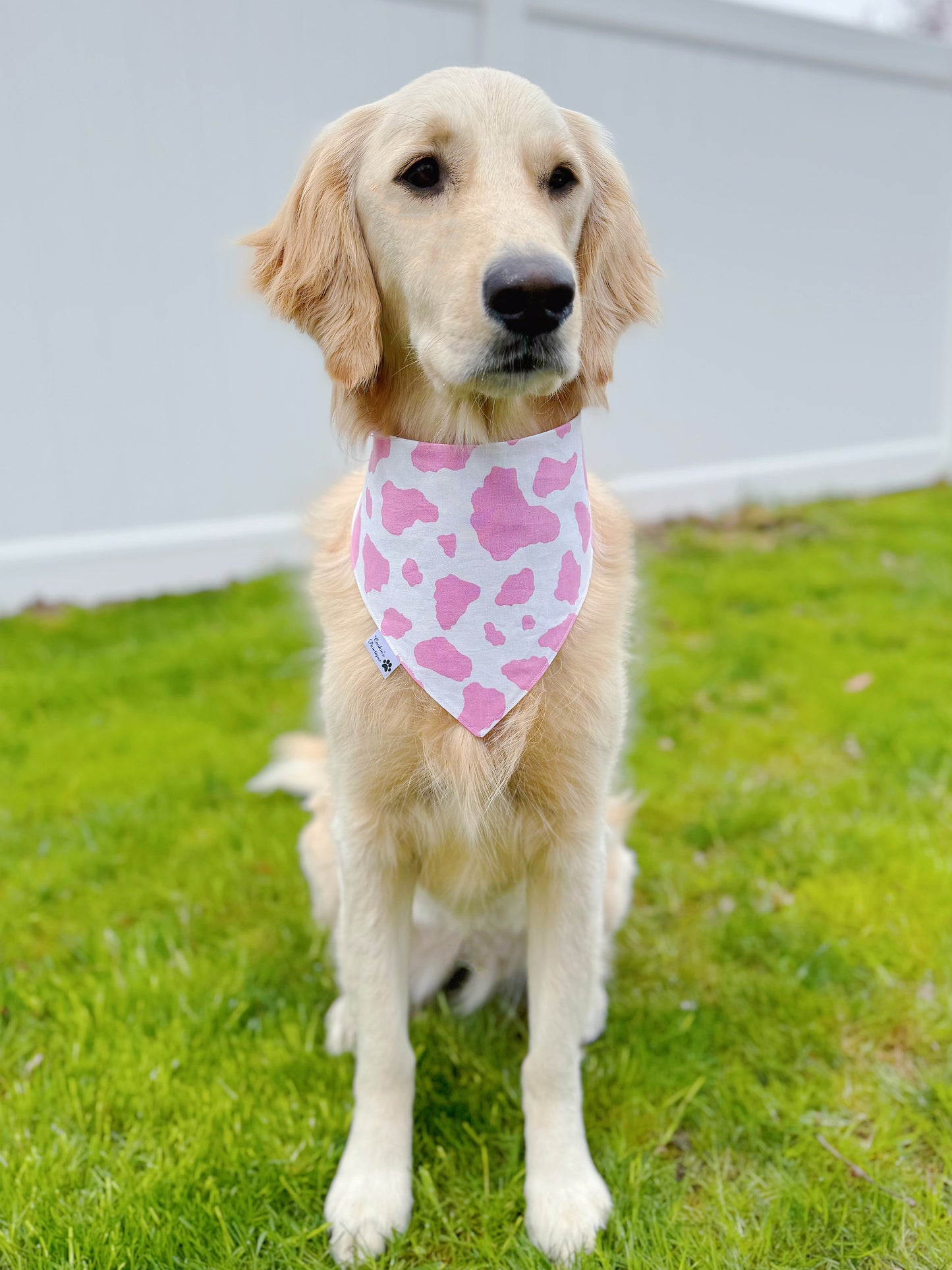 Cerealsly Cute Bandana