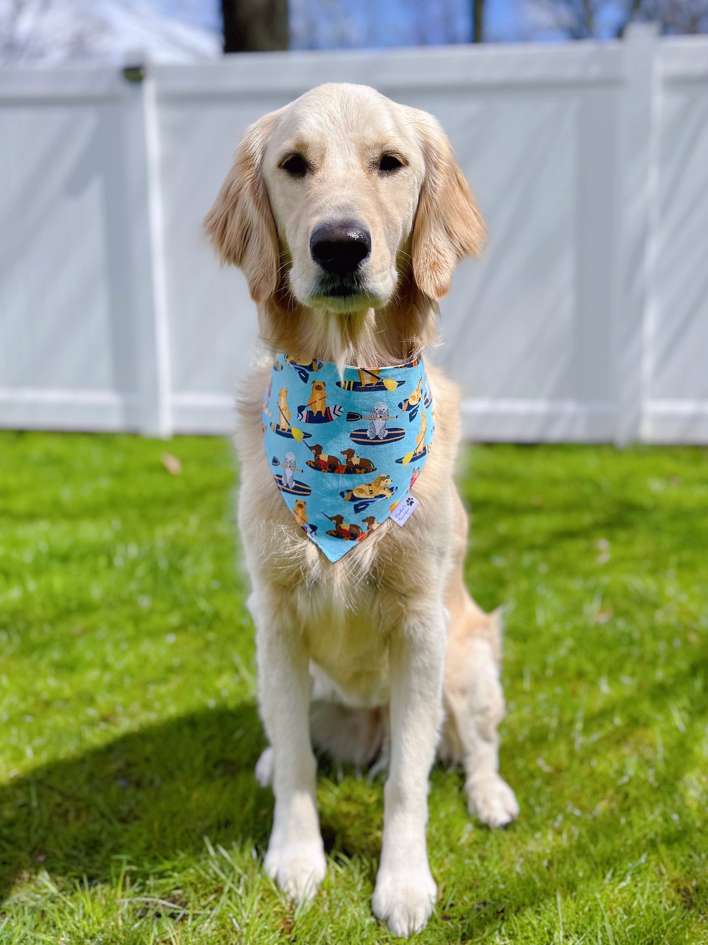 Paddle Pups And Kayaking Bandana