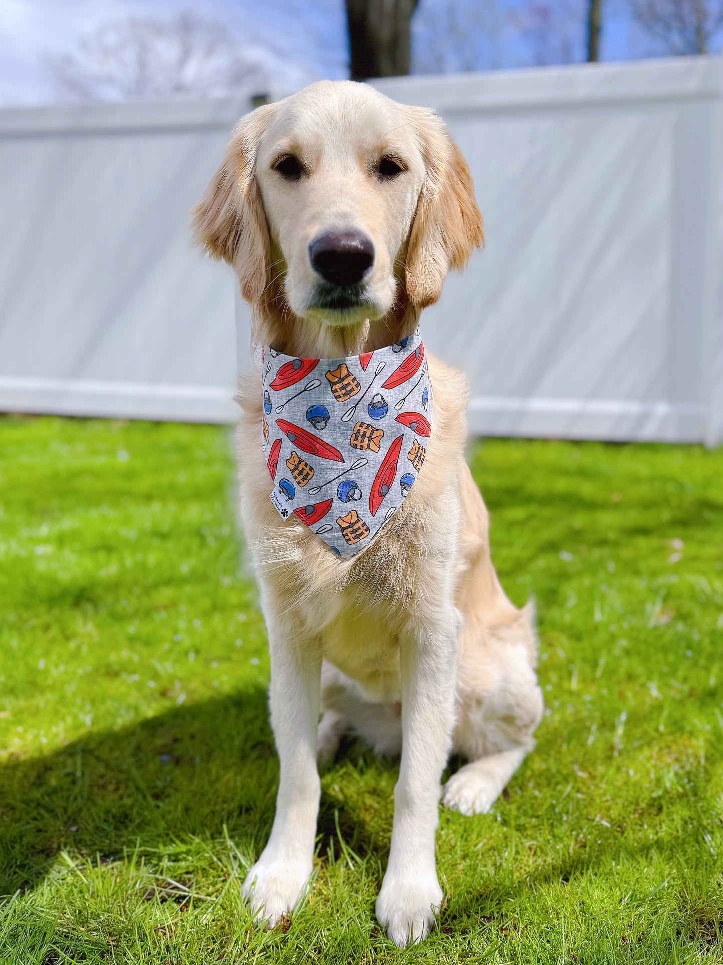 Paddle Pups And Kayaking Bandana