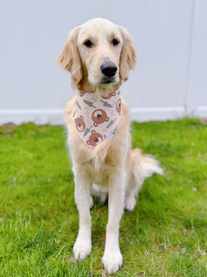 Boho Bears Bandana