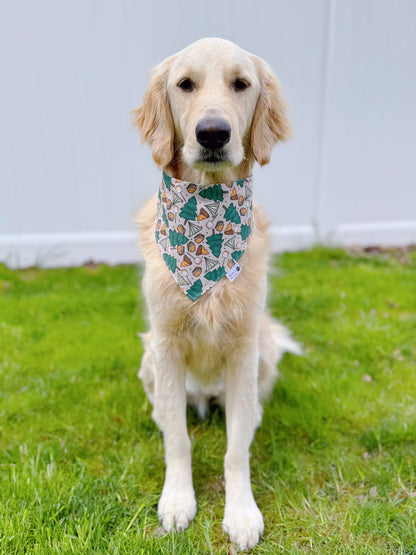 Camper Tour Bandana